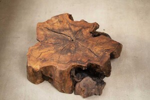 Nussbaum Deko Baumwurzel aus Holz 110x100x35 cm - #custom.ansicht# 2