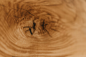 Maserung in der Holztischplatte aus Eiche 0157