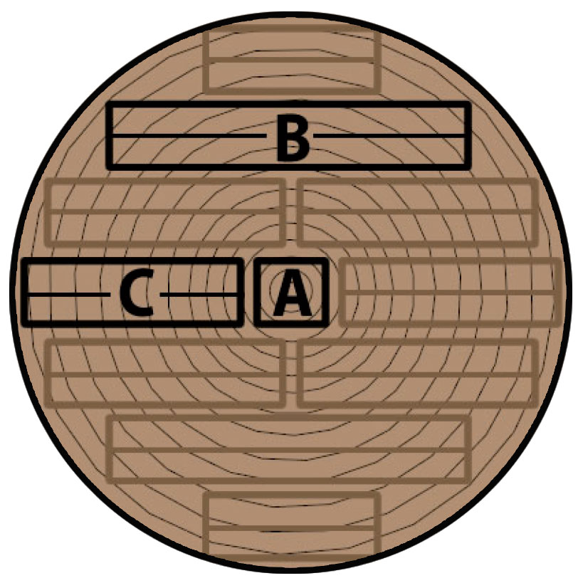 Skizze Baumstamm radial im Gatterschnitt - Kernholz, liegende und stehende Jahresringe