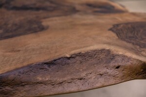 Seltene Baumstamm Tischplatte Nussbaum 350 x 145 x 5,5 cm - #custom.ansicht# 5