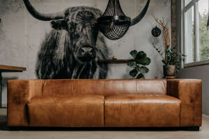 Havanna Ledersofa 3er 230cm - #custom.ansicht# 4